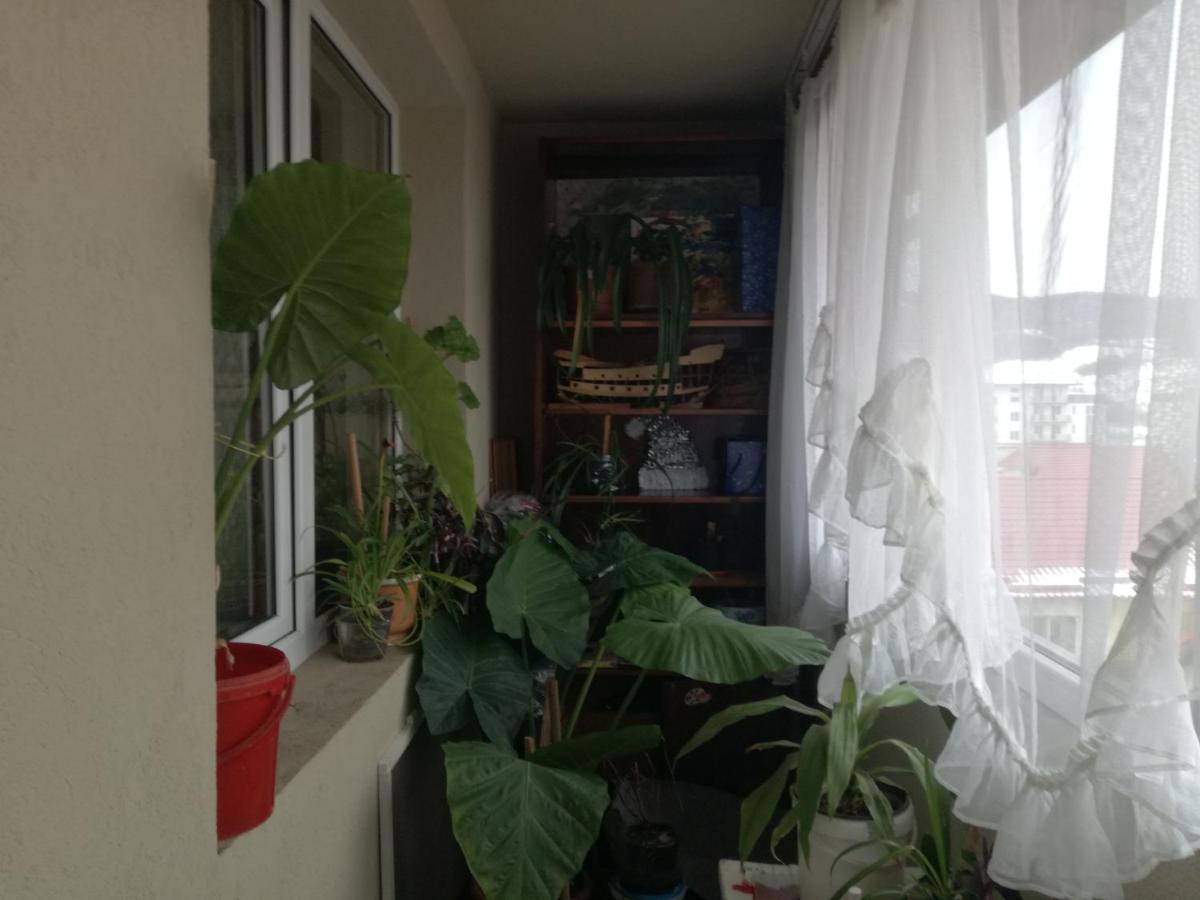 Apartament 2Camere - Prima Casa Floreşti Zewnętrze zdjęcie